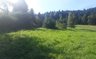 Działka budowlana 13,5a Zarabie