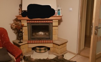 Sprzedam Skórę z dzika