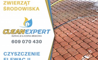 Profesjonalne mycie kostki brukowej elewacji ogrodzeń