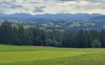 Nadleśnictwo Myślenice. Nabywanie lasów i gruntów do zalesień