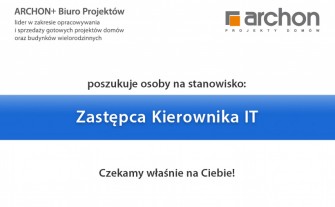 Zastępca Kierownika IT