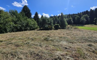 Działka budowlana 13,5a Zarabie