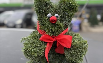 Miś niedźwiadek z jodły nowość