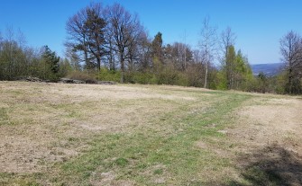 Przepiękna działka rolna w Bęczarce - 28 ar