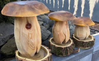 Grzyb prezent prawdziwek karmnik drewniany