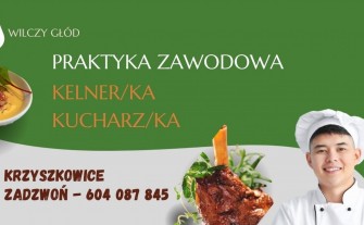 Przyjmę ucznia na praktykę w gastronomii (Kucharz/ka, Kelner/ka)