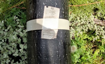 Papa nawierzchniowa jednowarstwowa Flexodek Mono – 12 szt. (90m²)